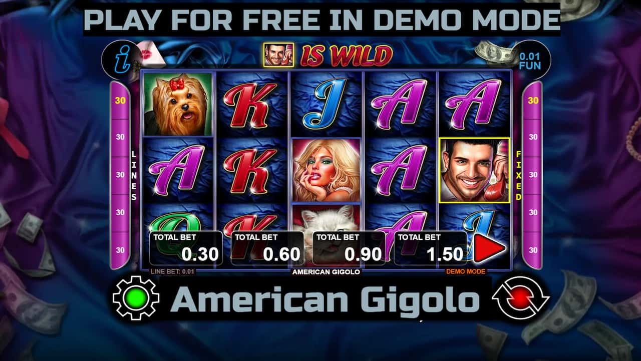 American Gigolo slot game by CT Interactive. Play for free in demo mode.