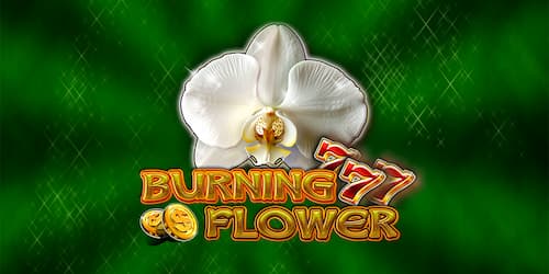 Burning Flower slot game by CT Interactive