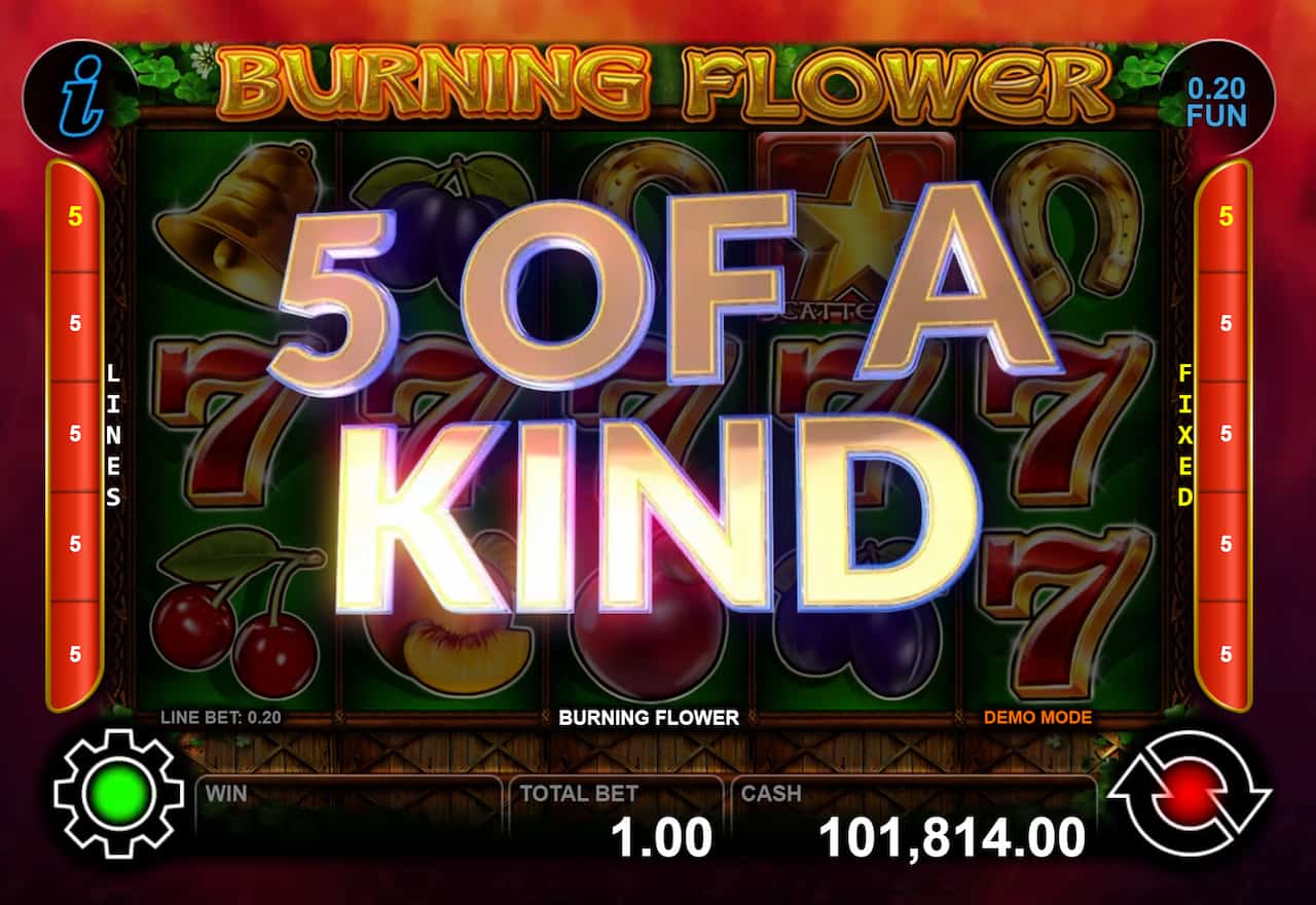 Five of a Kind Screen - Burning Flower slot game