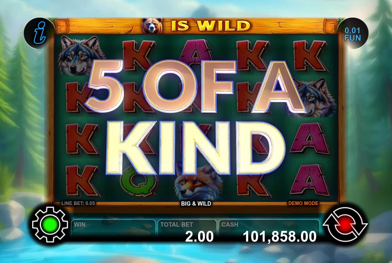 5 of a Kind Win Screen - Big & Wild slot game