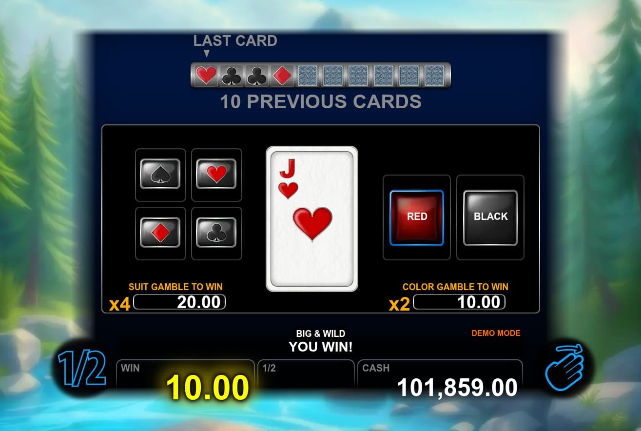 Double-Up Feature Screen - Big & Wild slot game