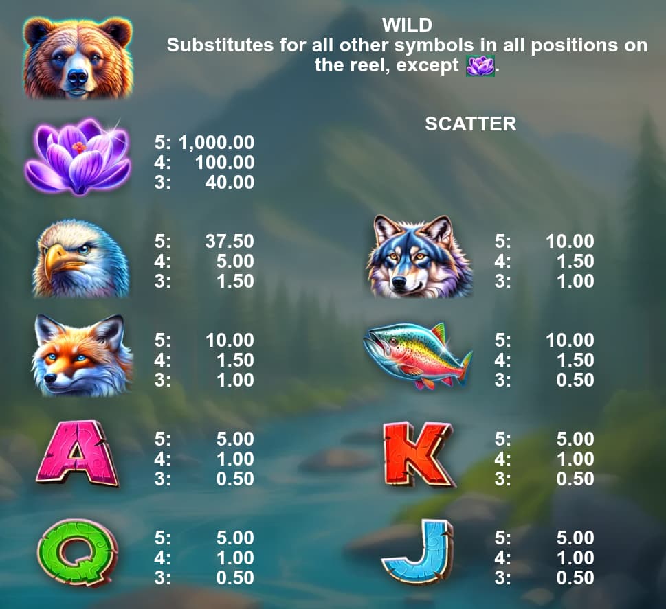 Symbols and paytable of the Big & Wild slot game