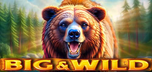Big & Wild slot game by CT Interactive