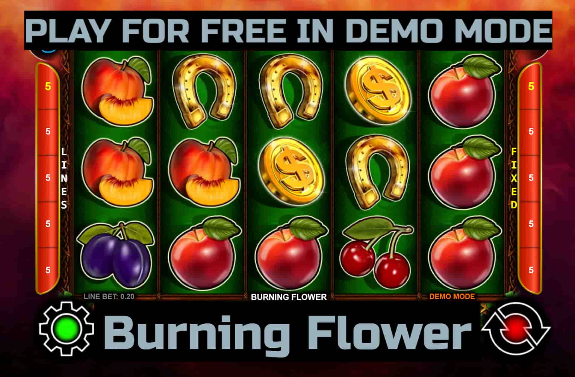 Burning Flower slot game by CT Interactive. Play for free in demo mode.