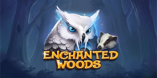 Enchanted Woods slot game by CT Interactive