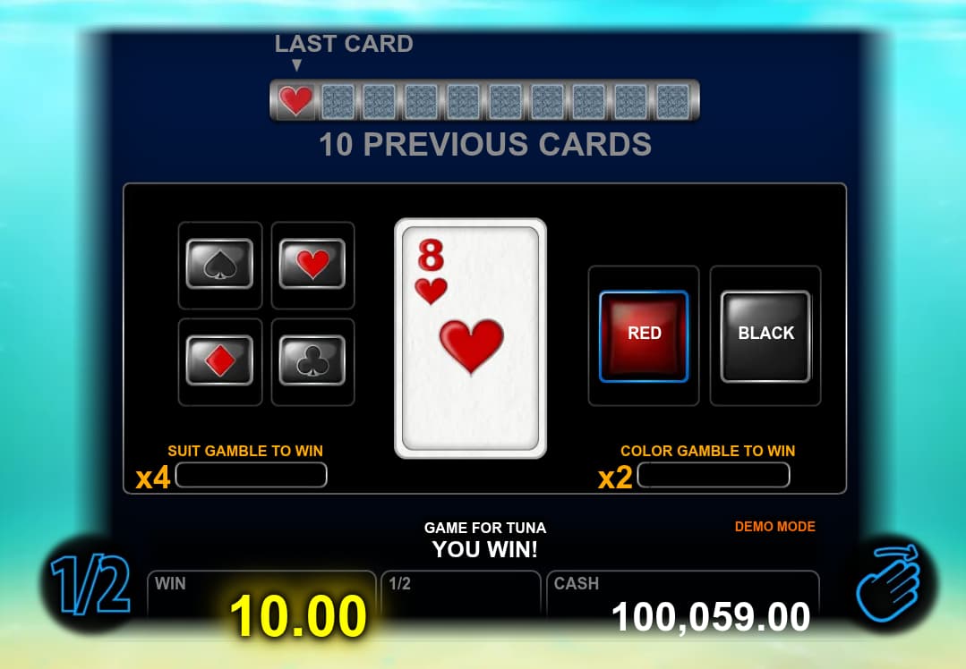 Double-Up Feature Screen - Game for Tuna slot game
