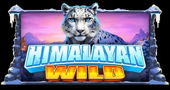 Himalayan Wild slot game by Pragmatic Play