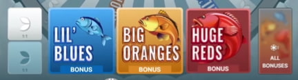 Ice Fishing bet types