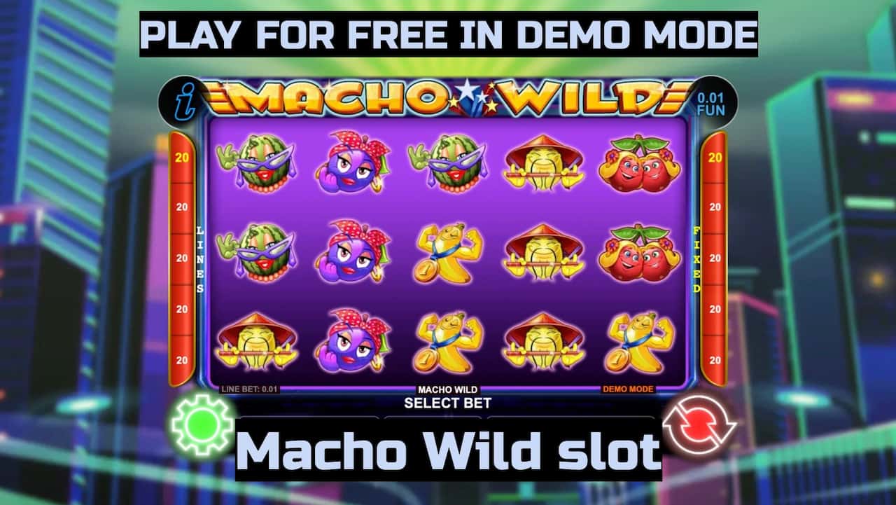 Macho Wild slot game by CT Interactive. Play for free in demo mode.