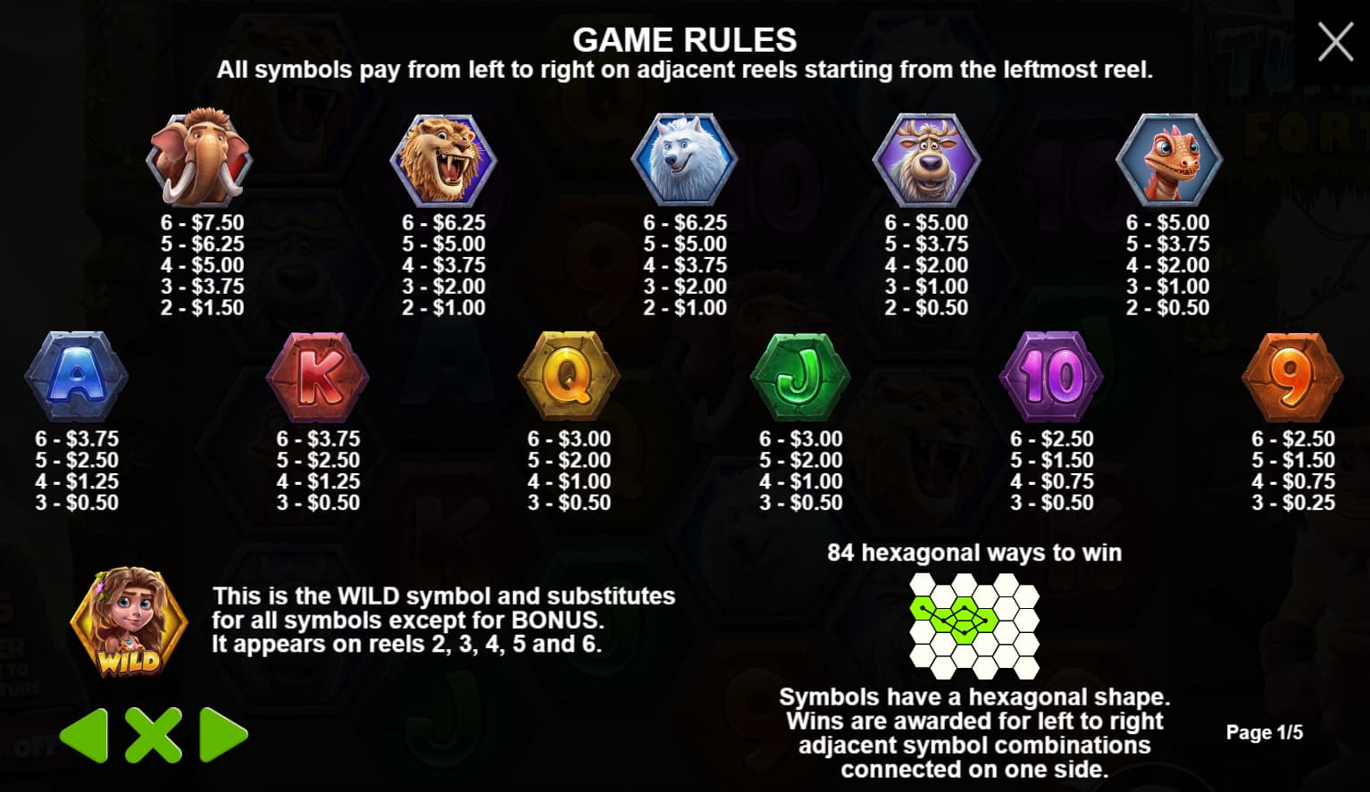 Symbols and paytable of the Tundra's Fortune slot game