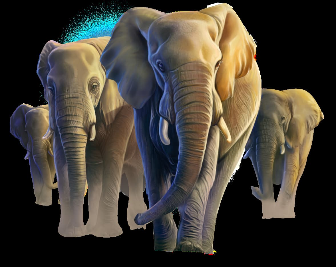 The African Elephants - African Elephant slot game