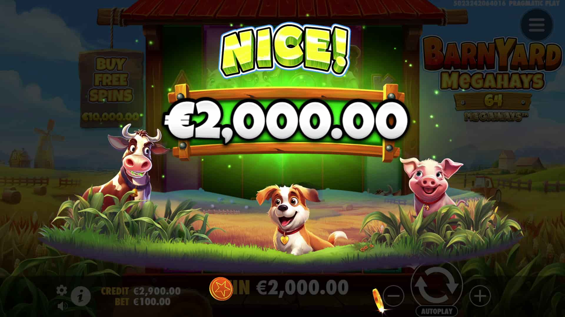 Nice Win Screen - Barnyard Megahays Megaways slot game