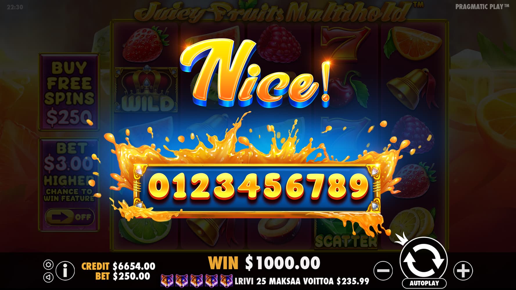 Nice Win Screen - Juicy Fruits Multihold slot game