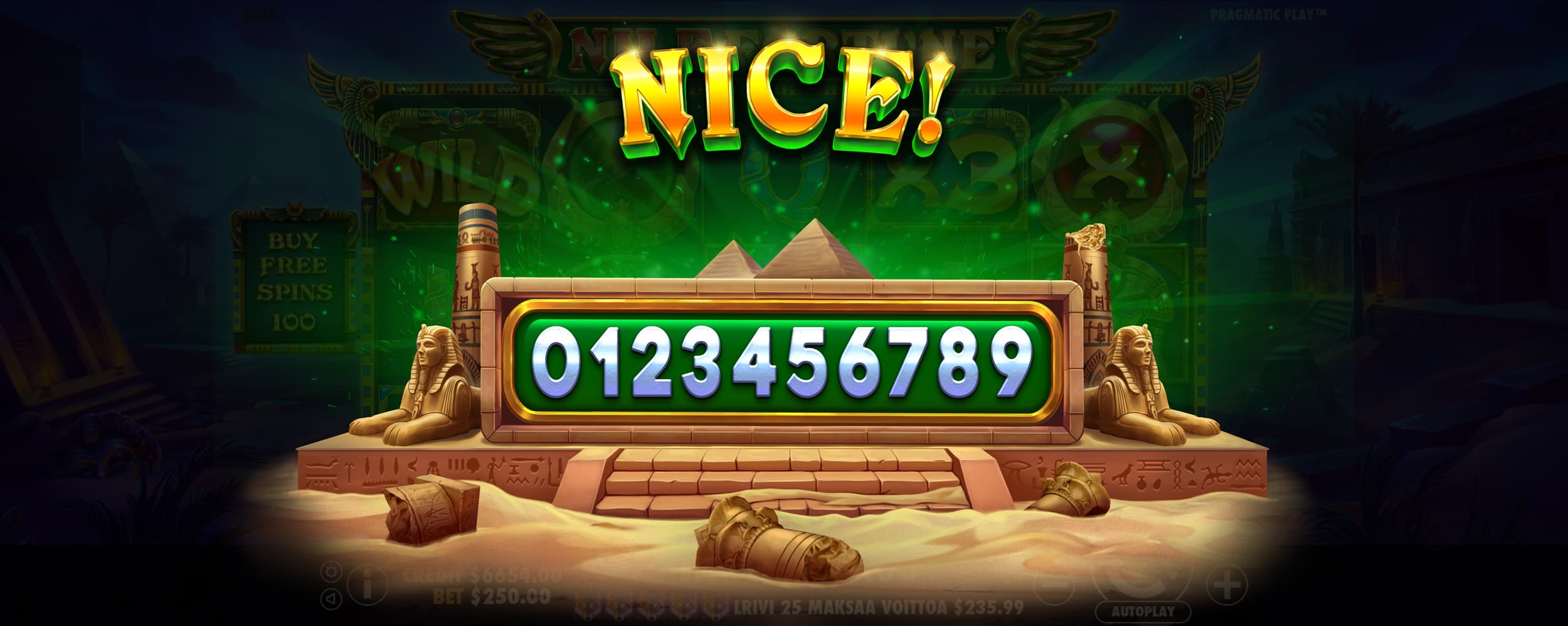 Nice Win Screen - in the Fortune Nile slot game.