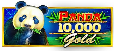 Panda Gold™ 10,000 game by Pragmatic Play