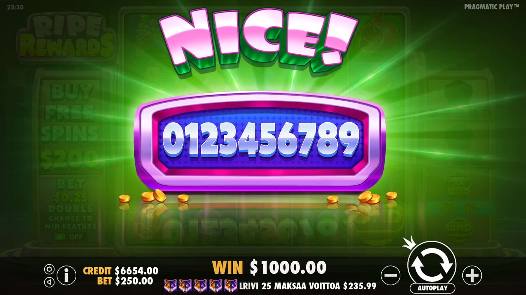 Nice Win Screen - Ripe Rewards slot game