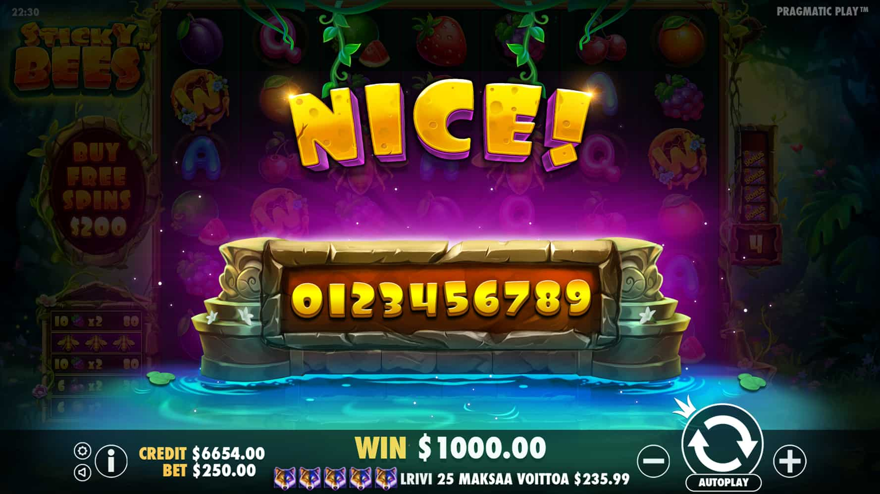 Nice Win Screen - Sticky Bees slot game