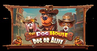 The Dog House – Dog or Alive slot game by Pragmatic Play