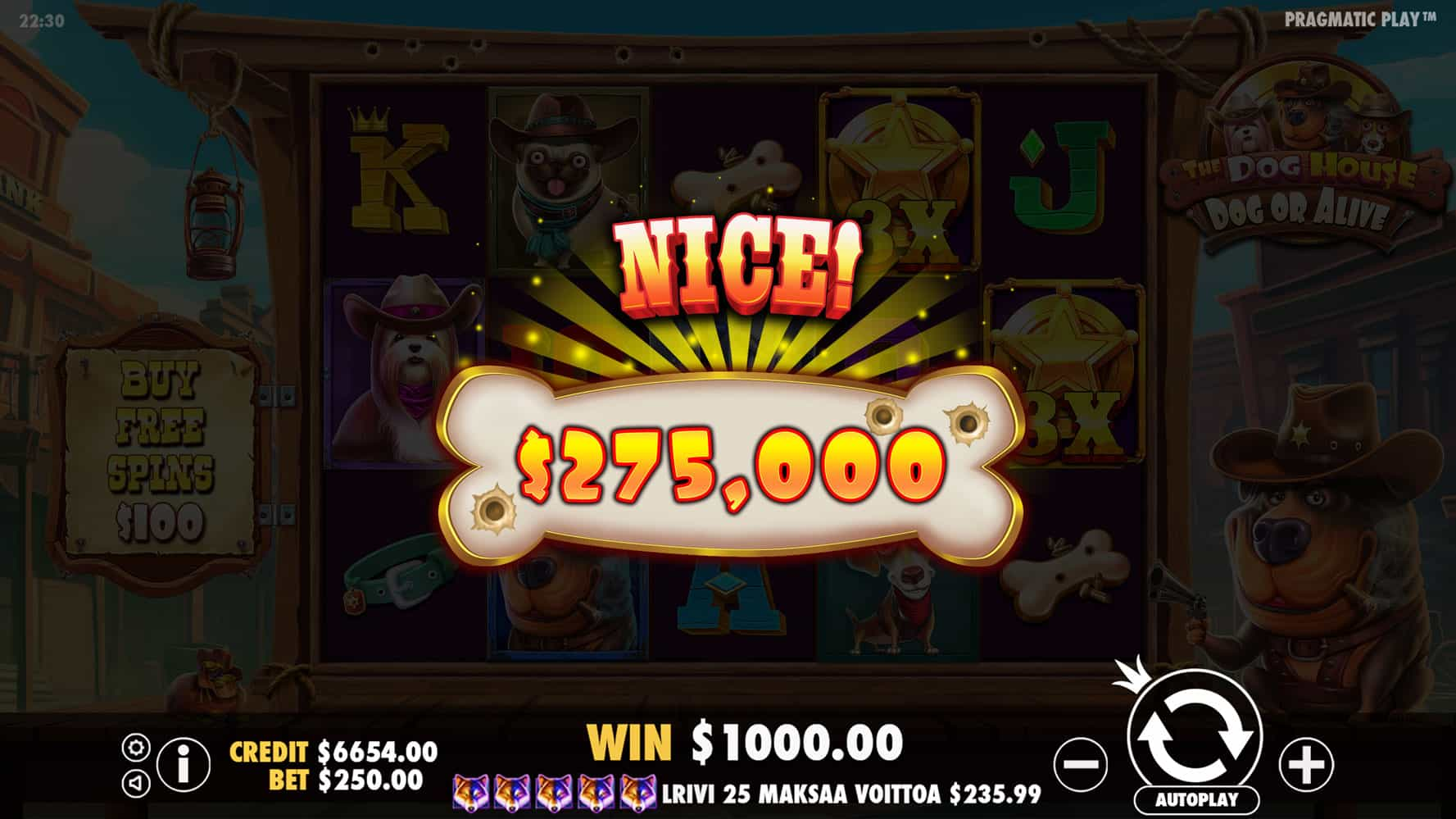 Nice Win Screen - The Dog House – Dog or Alive slot game