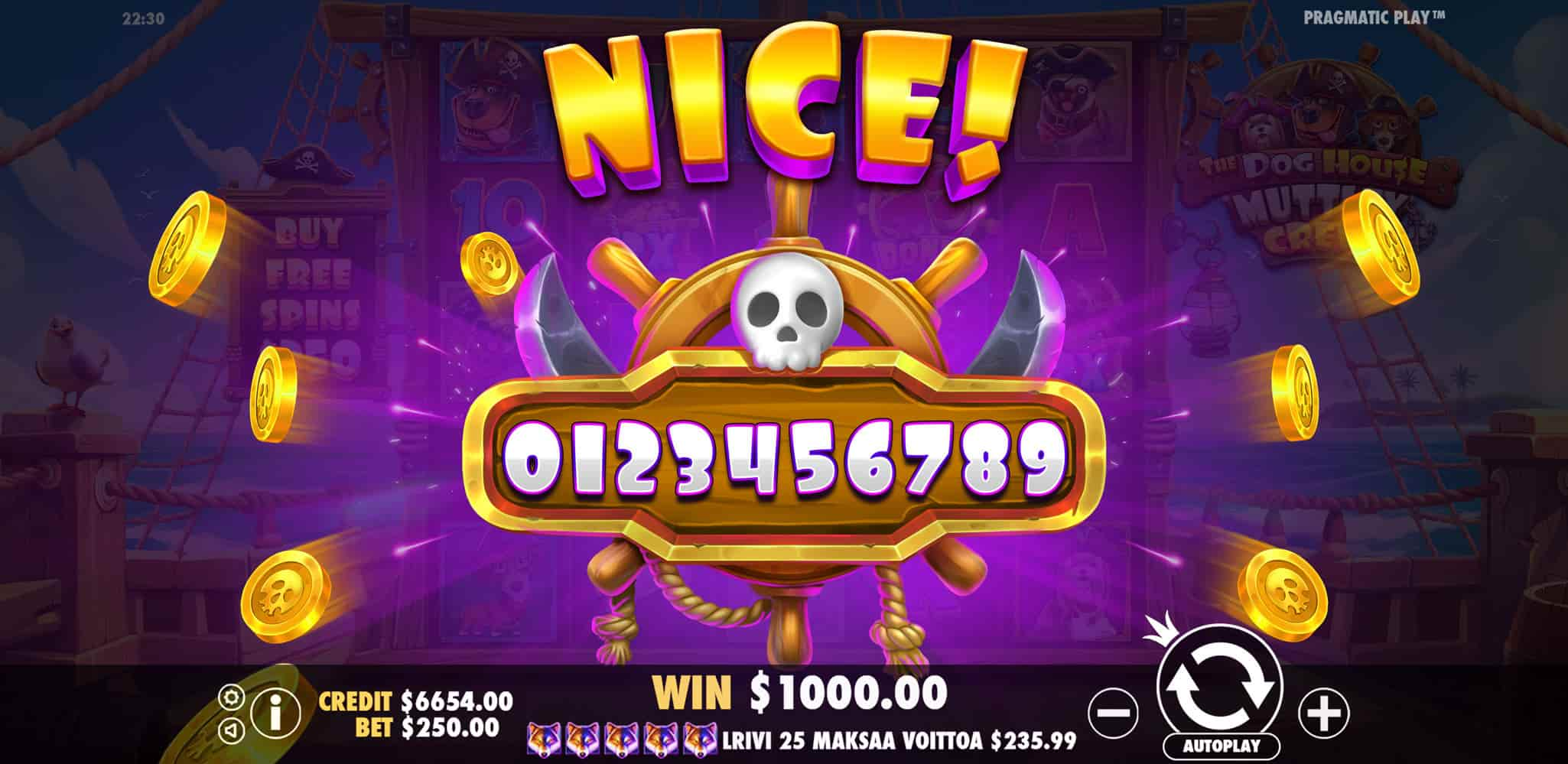 Nice Win Screen - The Dog House – Muttley Crew slot game