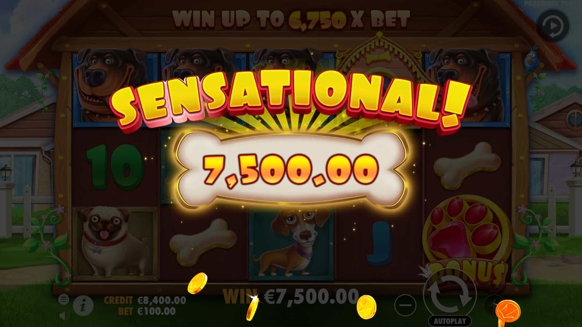 Big Win Screen - The Dog House slot game