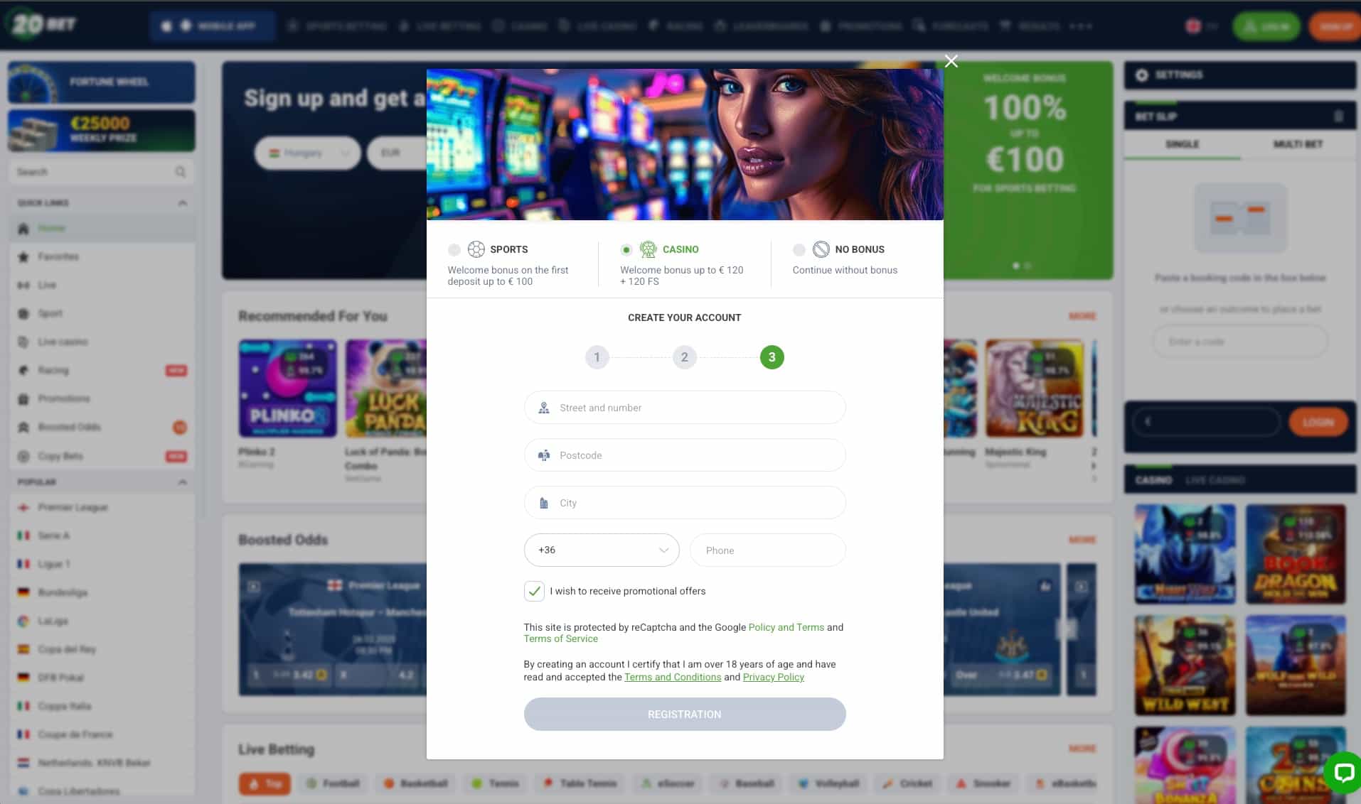 Provide address details. Read the terms and conditions.